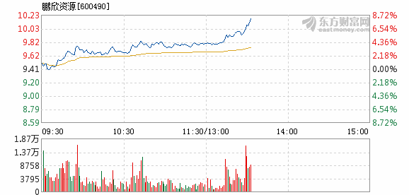 鹏欣资源重组最新情况深度剖析